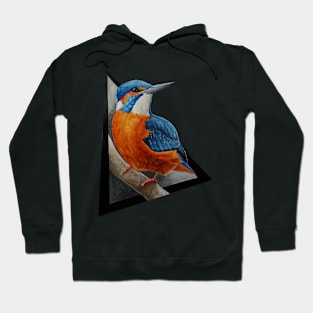 Kingfisher at rest Hoodie